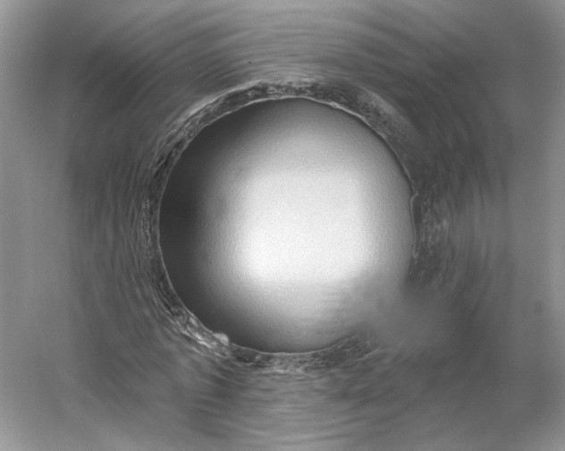 X0000060560773200511171604