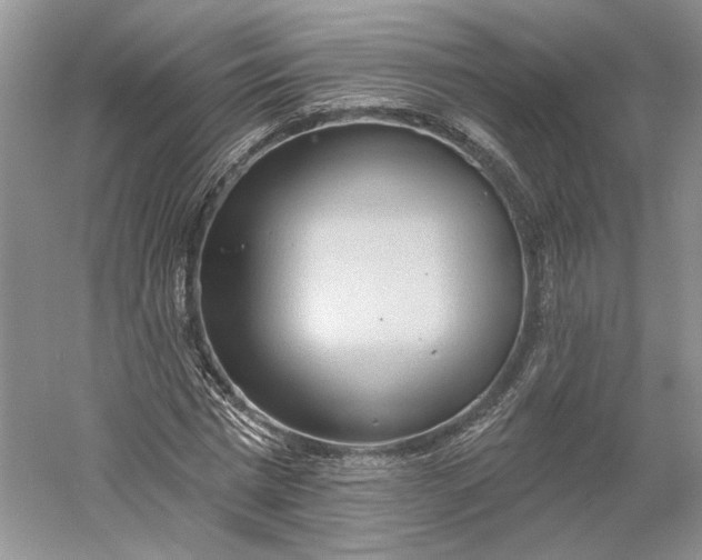 X0000060560777200511171604