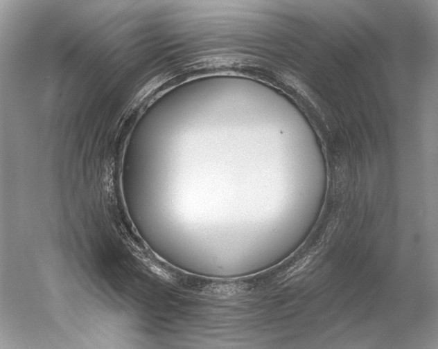 X0000060560778200511171604