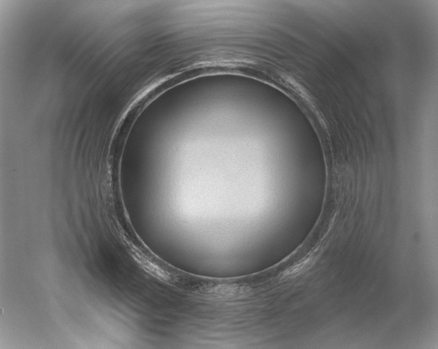 X0000060560779200511171604