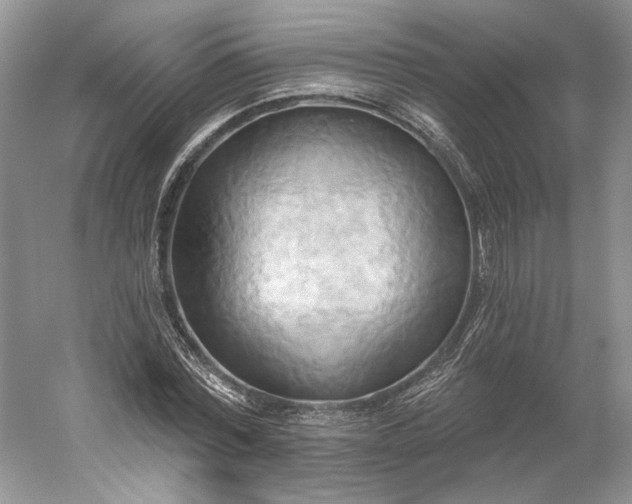 X0000060560780200511171604