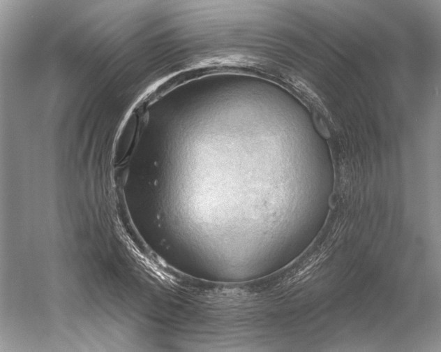 X0000060560784200511171604