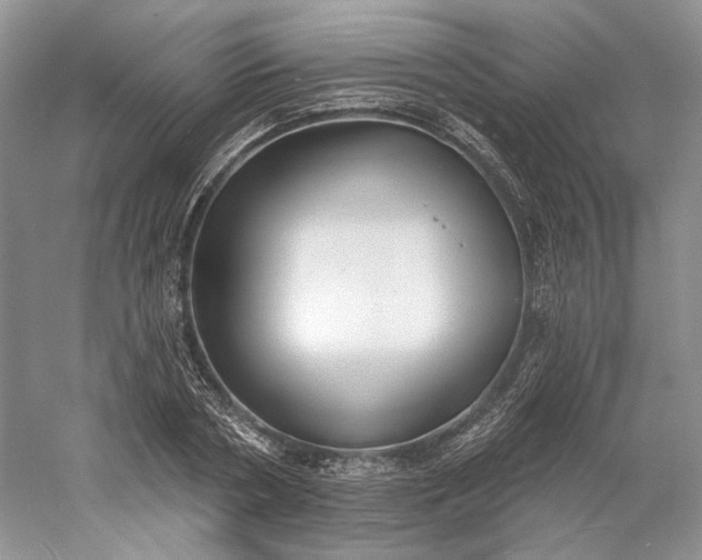 X0000060560786200511171604