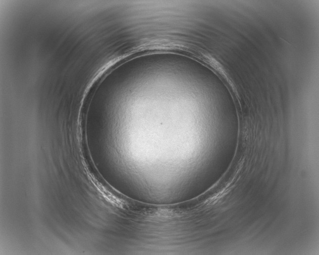 X0000060560787200511171604