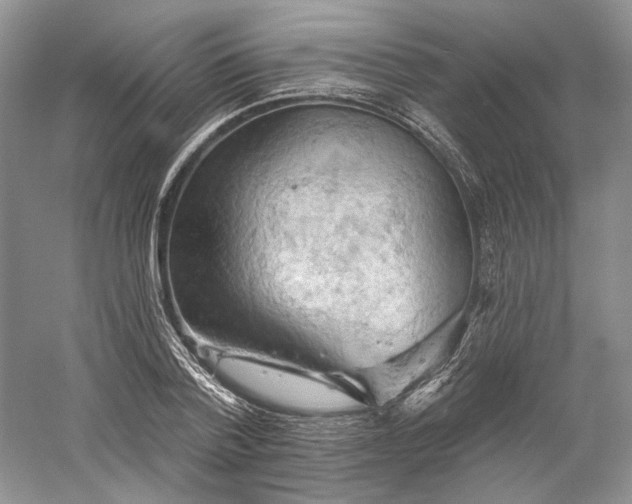X0000060560788200511171604