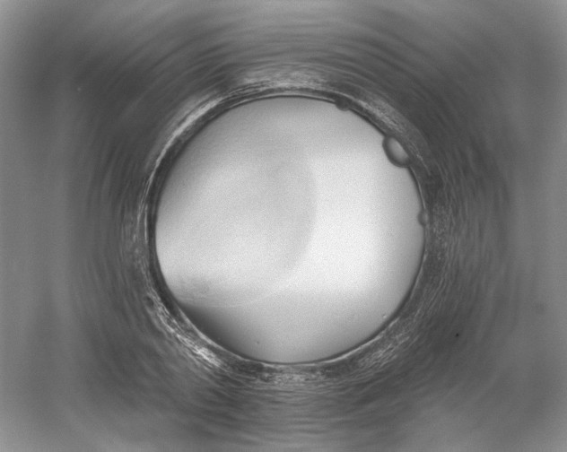 X0000060560790200511171604