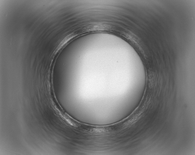 X0000060560794200511171604
