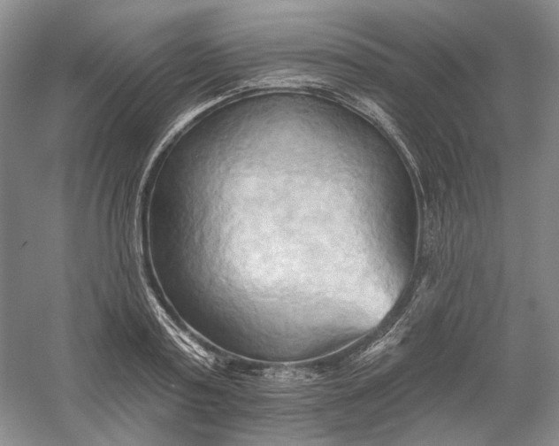 X0000060560795200511171604