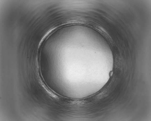 X0000060560796200511171604