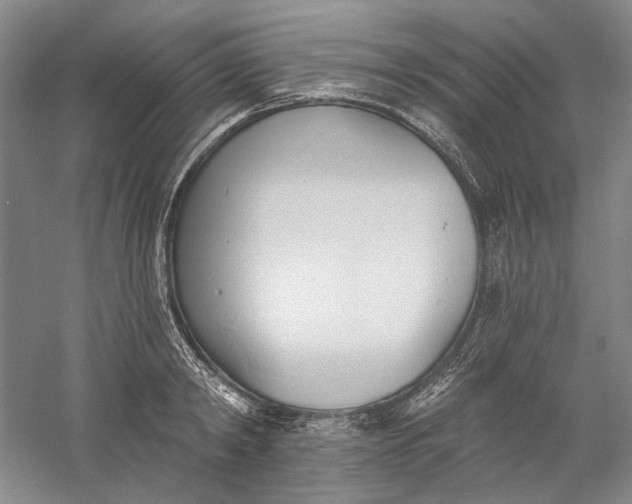 X0000060560798200511171604