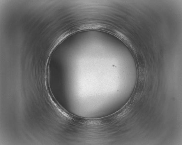 X0000060560802200511171603