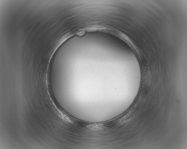 X0000060560810200511171603