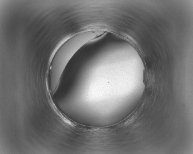 X0000060560812200511171603