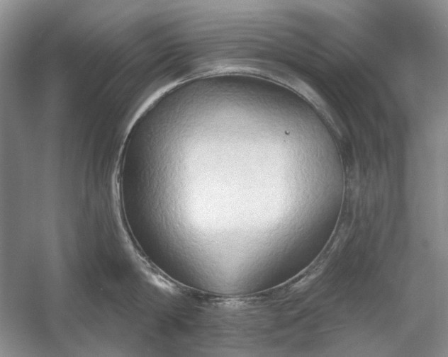 X0000060560814200511171603