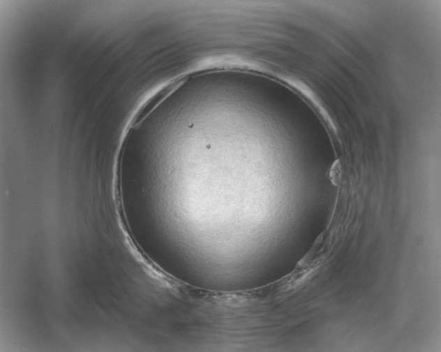 X0000060560815200511171603