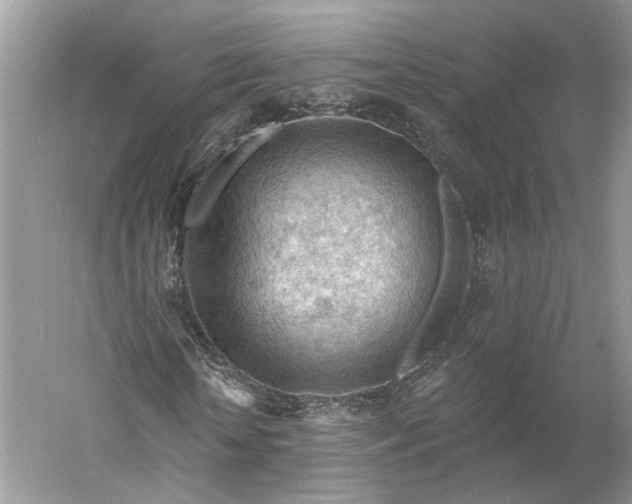 X0000060560818200511171602