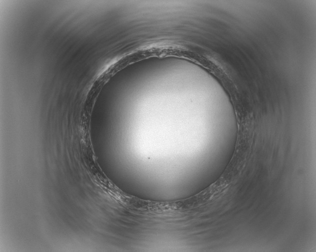 X0000060560823200511171602