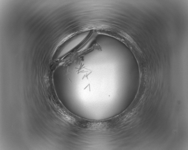 X0000060560826200511171603