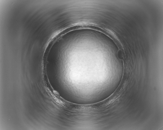 X0000060560831200511171603
