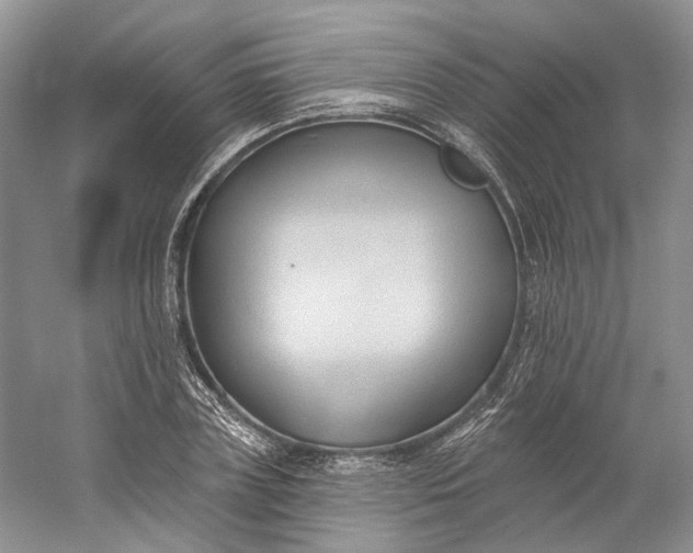X0000060560835200511171603