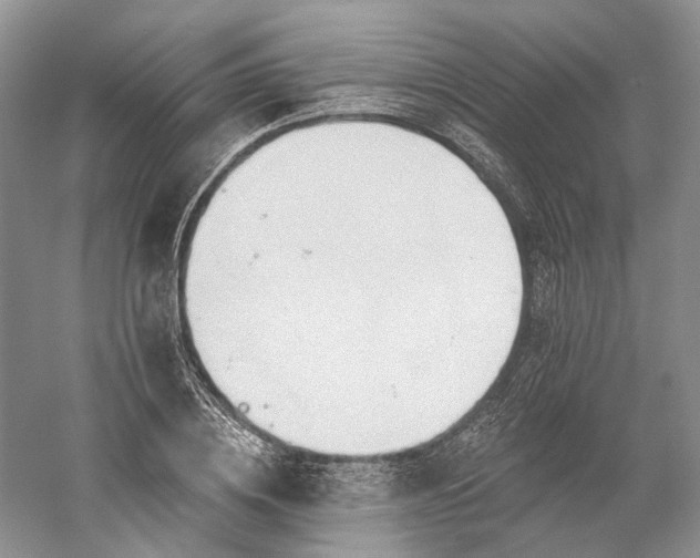 X0000060560836200511171603