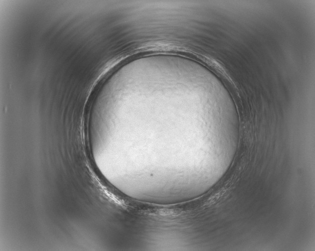 X0000060560839200511171603