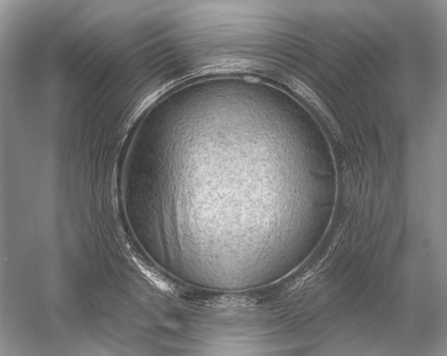 X0000060560842200511171603