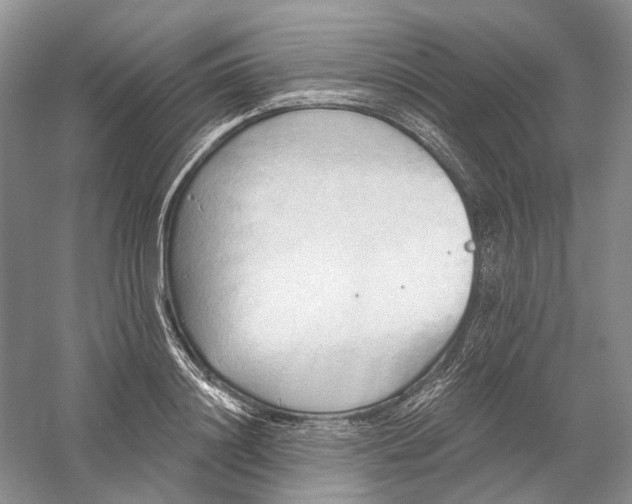 X0000060560844200511171603