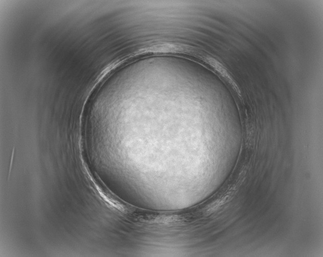 X0000060560845200511171603