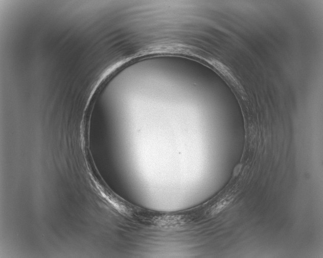 X0000060560846200511171603