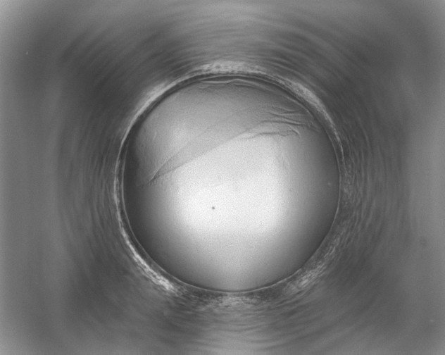 X0000060560847200511171603