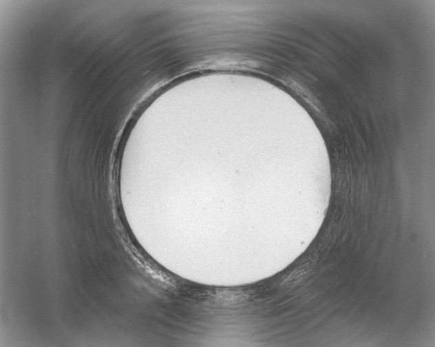 X0000060560848200511171603
