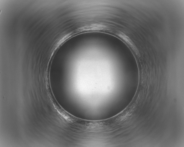 X0000060560850200511171603