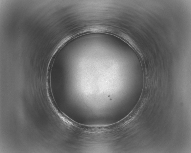 X0000060560853200511171603