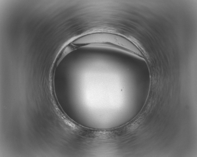 X0000060560854200511171603
