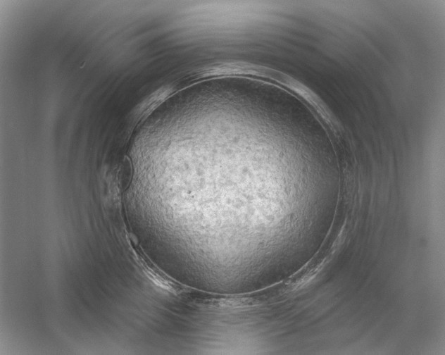 X0000060560857200511171603