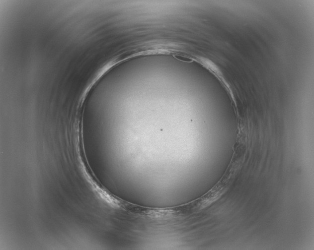 X0000060560859200511171603