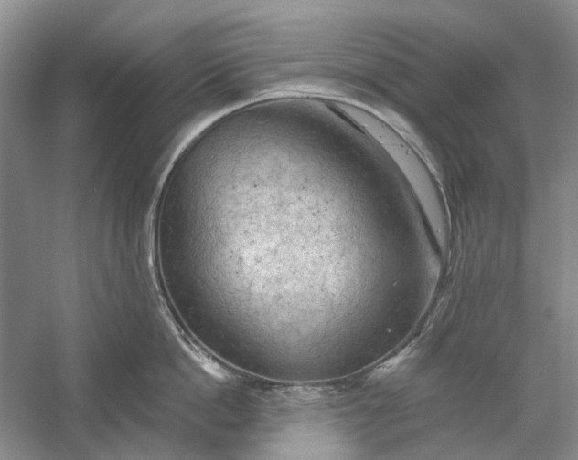 X0000060560862200511171603
