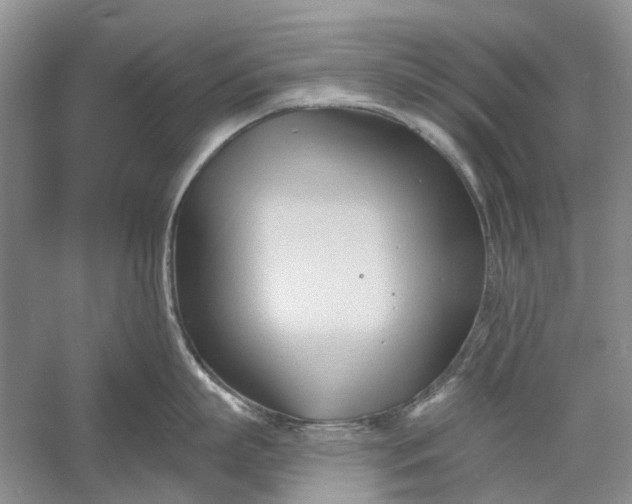 X0000060560863200511171603