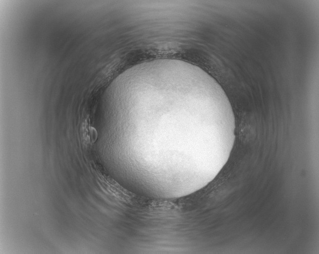 X0000060560866200511171602