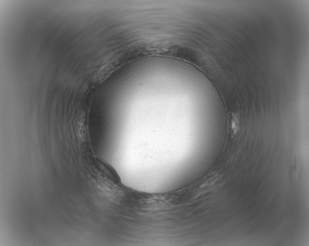 X0000060560867200511171602