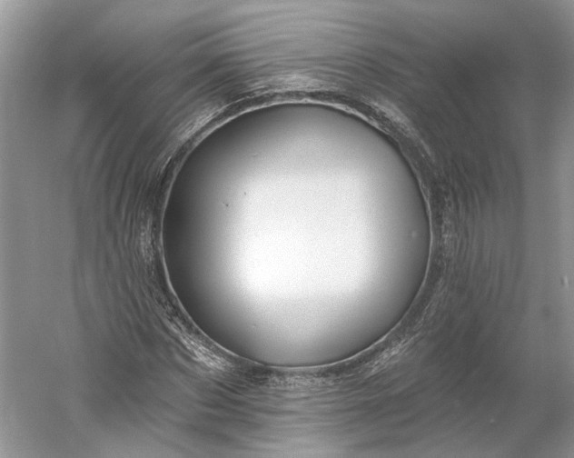 X0000060560873200511171602