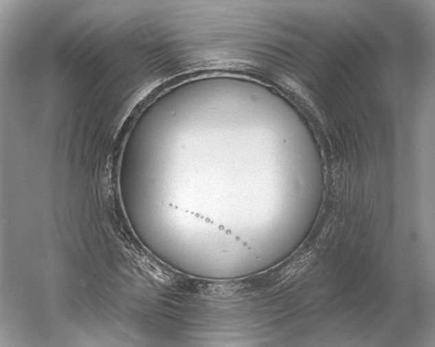 X0000060560875200511171602