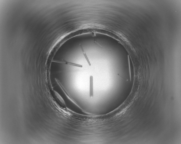 X0000060560877200511171602