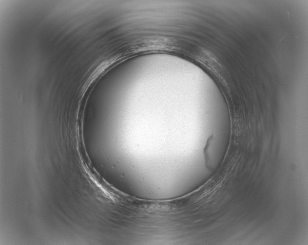 X0000060560890200511171602