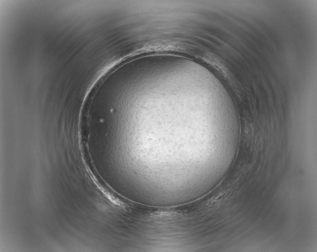 X0000060560894200511171602