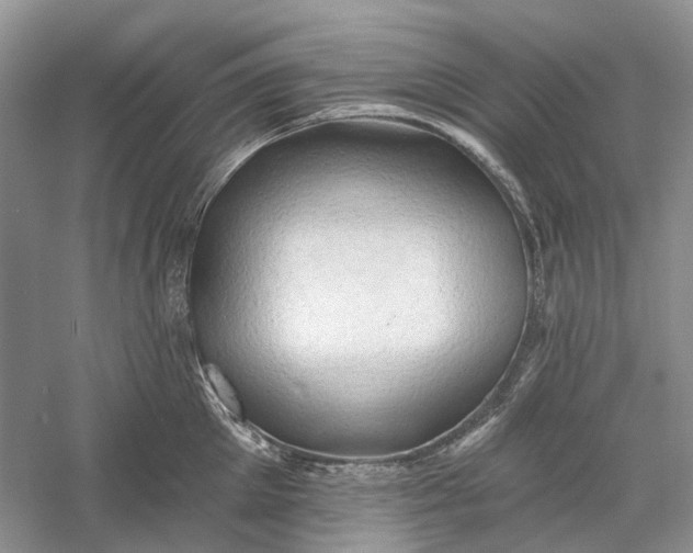 X0000060560905200511171602