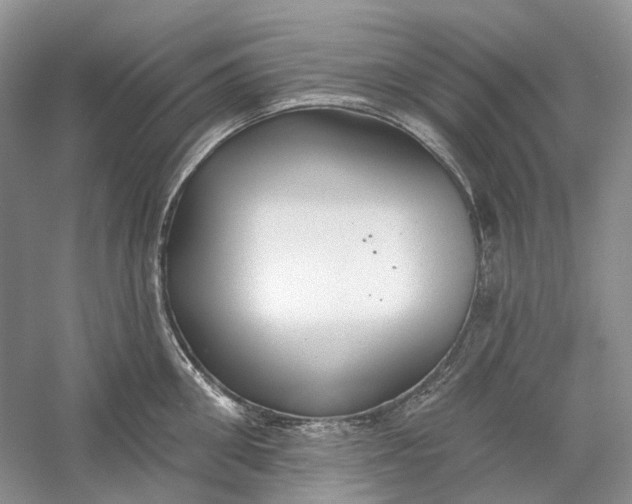X0000060560906200511171602