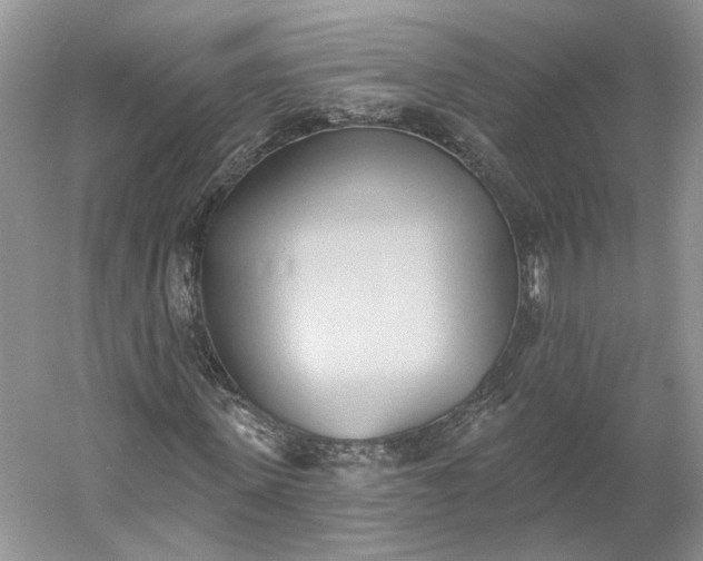 X0000060560915200511171601