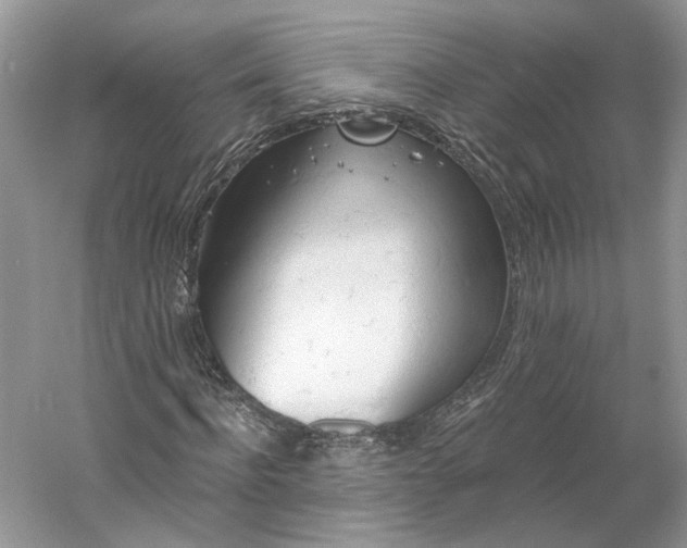 X0000060560916200511171601